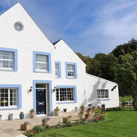 Bed and Breakfast Ty Nant Little Haven Экстерьер фото